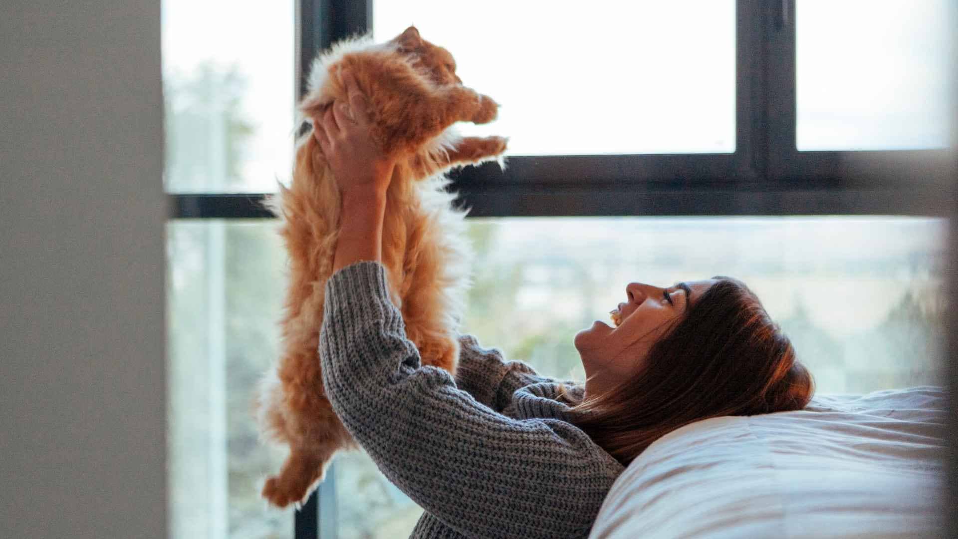 Peso normal gato segun edad